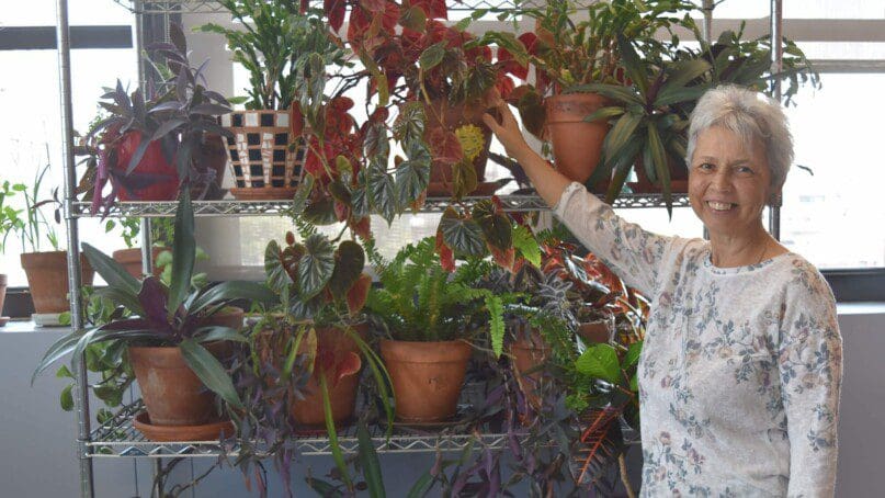 Shelves of flourishing plants about at Betty Pendler Day Services