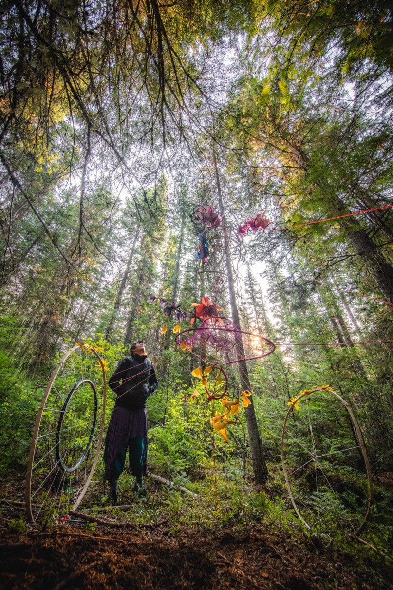 The Disabled Forest Guardian at home in Montana's Yaak Valley