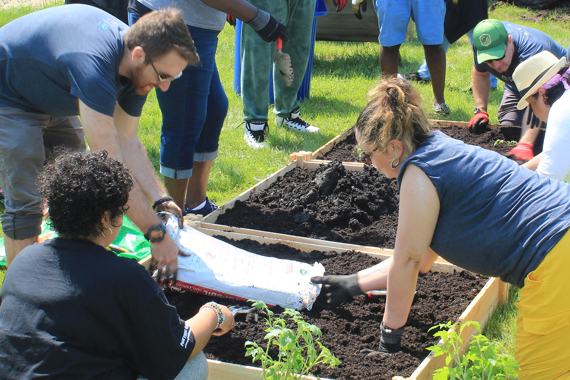 Volunteers plant flowers and vegtables at Far Rockaway Day Services.