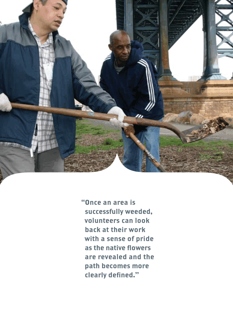 Once an area is successfully weeded, volunteers can work with a sense of pride