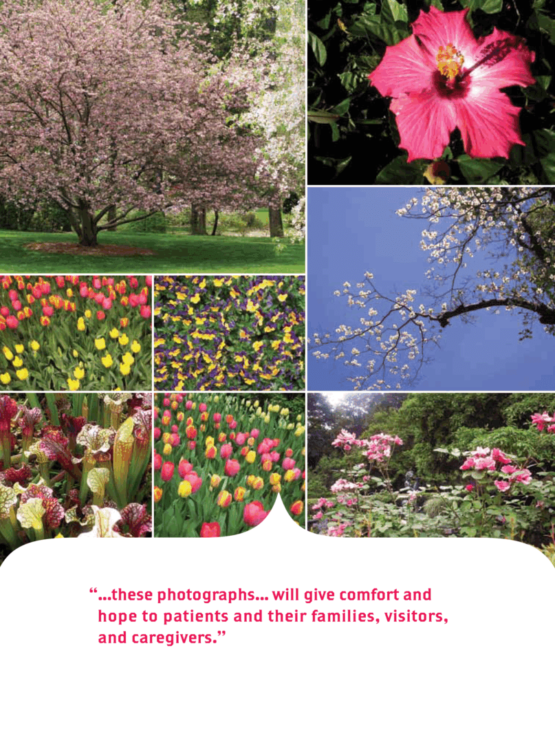 these photographs will give comfort and hope to patients